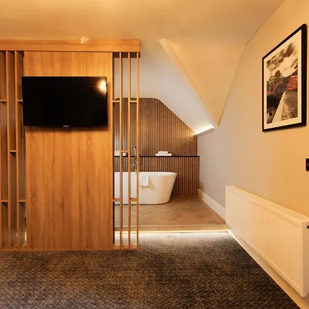 Springfield 4* Leixlip